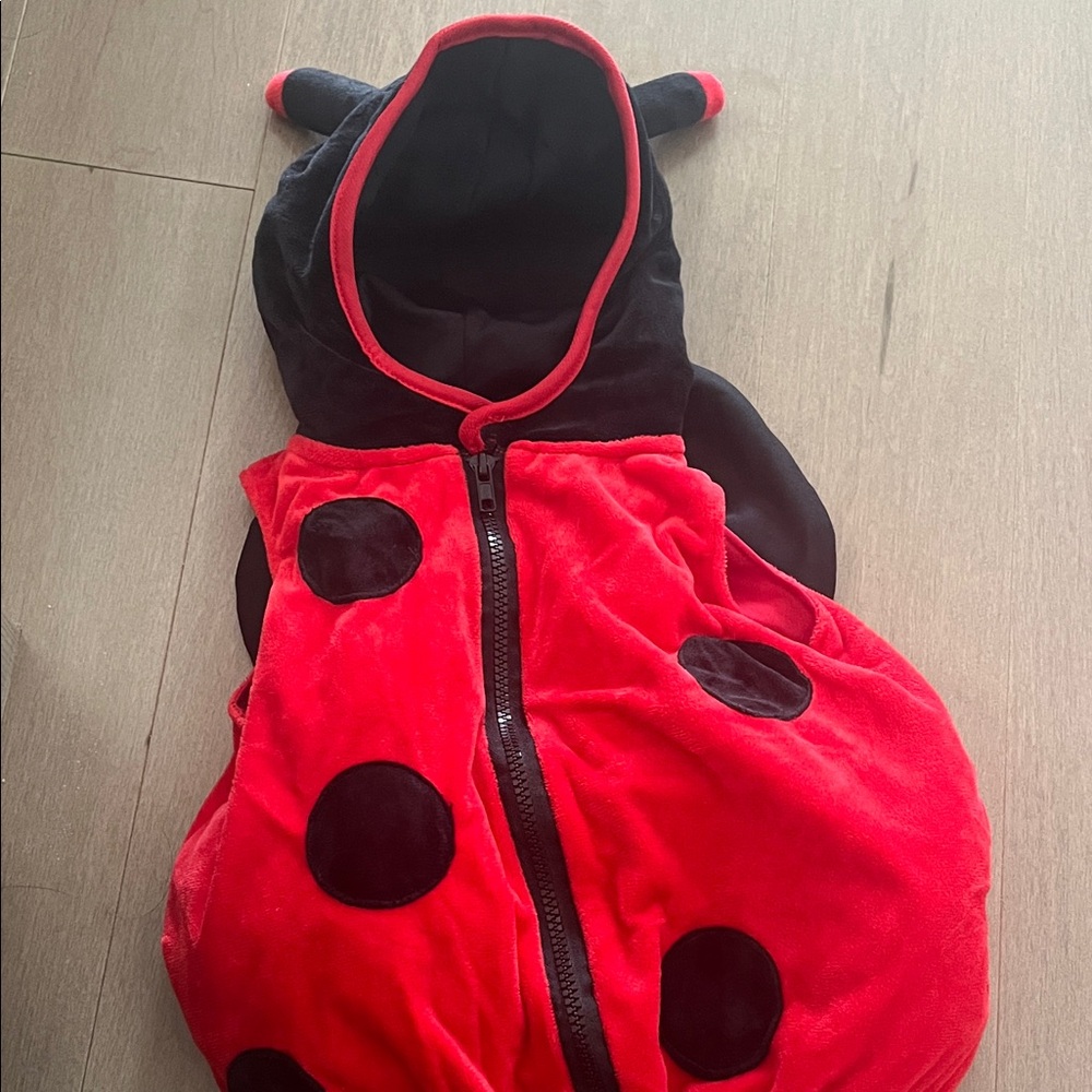 Ladybug Kids Costume - Red and Black
